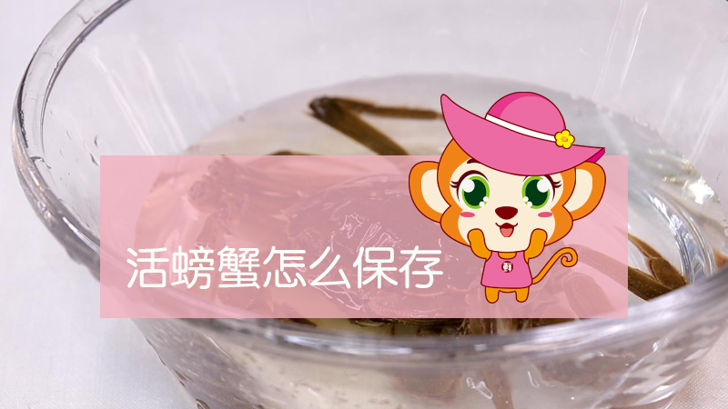 活螃蟹怎么保存過夜