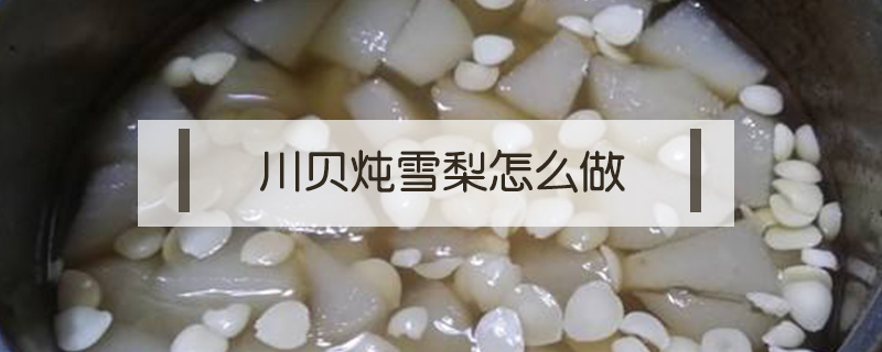 川貝燉雪梨怎么做