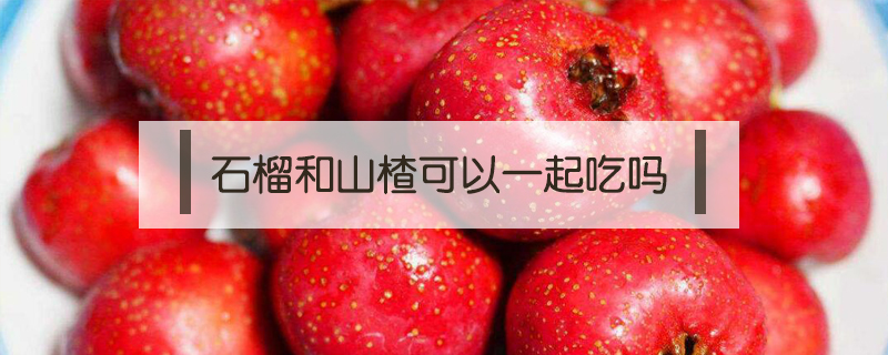 石榴和山楂可以一起吃嗎