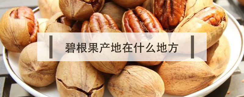 碧根果產地在什么地方