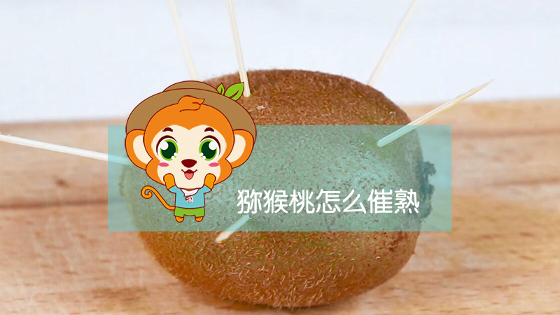 獼猴桃怎么催熟