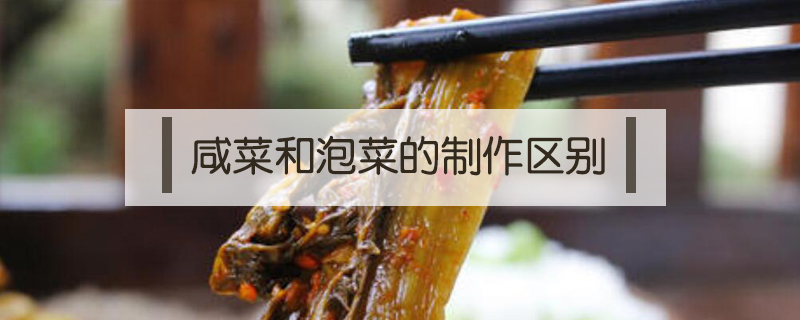 咸菜和泡菜的制作區(qū)別