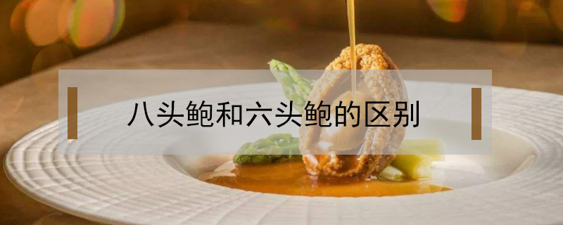 八頭鮑和六頭鮑的區別