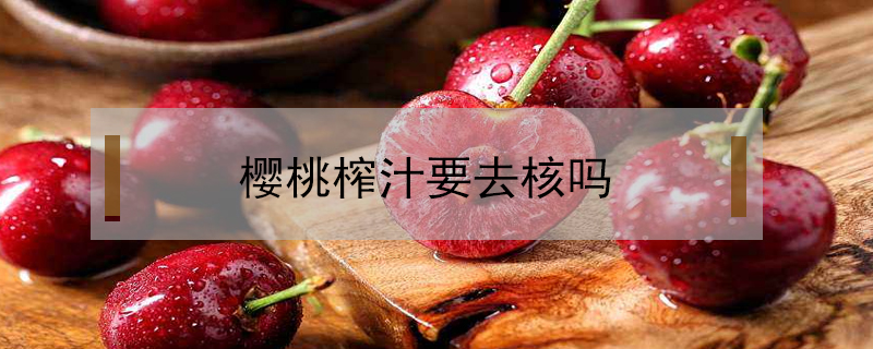 櫻桃榨汁要去核嗎