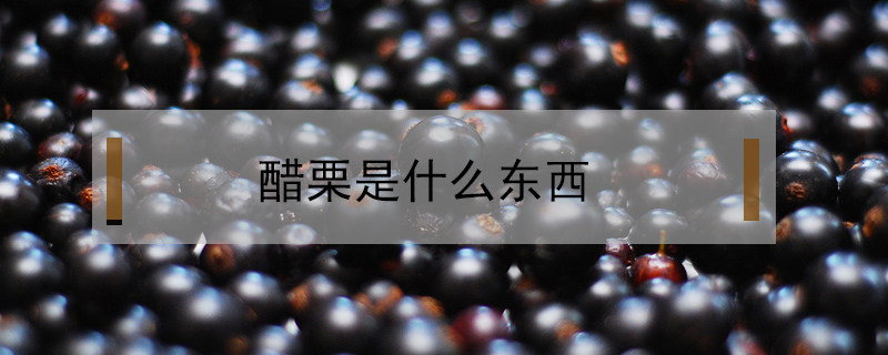 醋栗是什么東西