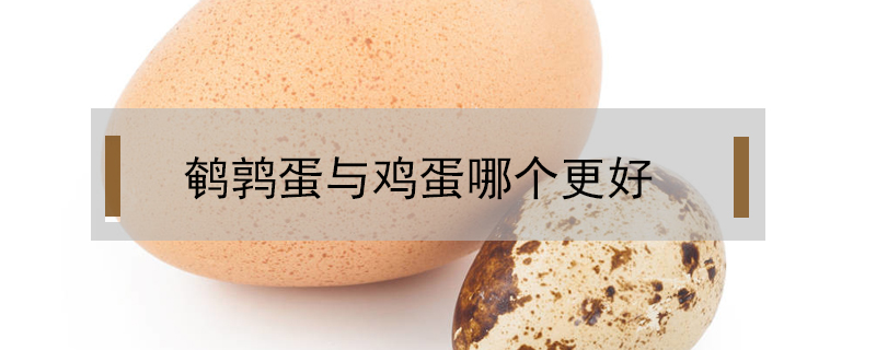 鵪鶉蛋與雞蛋哪個更好