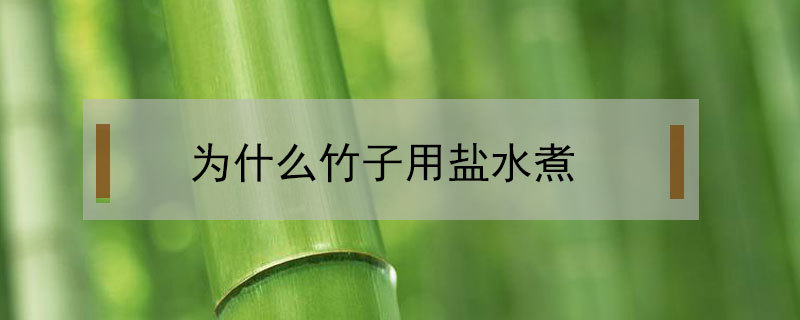 為什么竹子用鹽水煮