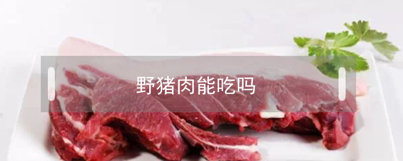 野豬肉能吃嗎