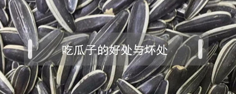吃瓜子的好處與壞處