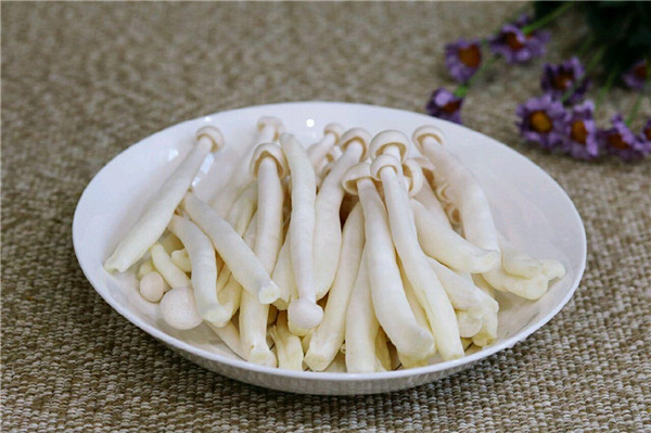 白玉菇和海鮮菇的區(qū)別