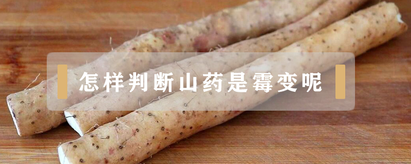 怎樣判斷山藥是霉變呢