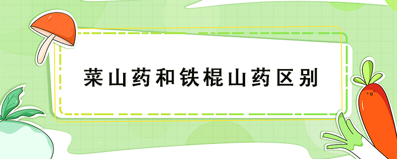 菜山藥和鐵棍山藥區別