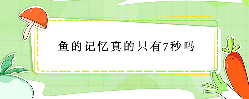 魚的記憶真的只有7秒嗎